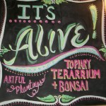 LDU Sits Down With The Owners of “It’s Alive” Topiary & Terrarium